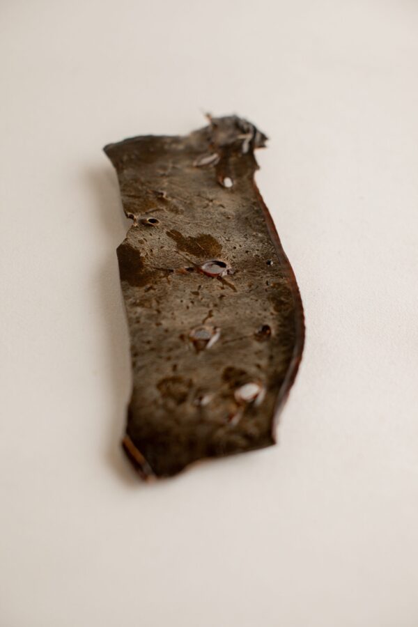 Beef Liver Close up