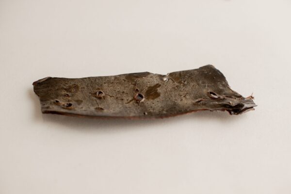 Beef Liver Single2