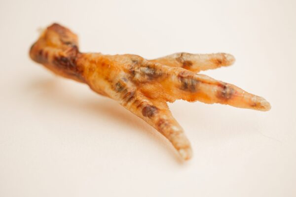 Chicken feet close up 2