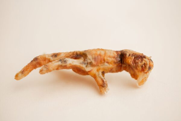 Chicken feet close up