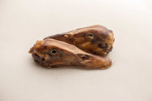 Duck heads 2 unedited